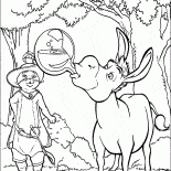 Donkey versucht zuerst