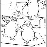 Die Pinguine aus Madagascar