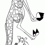 Melman ist herumalbern