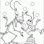 Circus