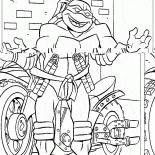 Michelangelo und Motorrad