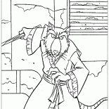 Meister Splinter