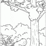 Lars und das Chamäleon