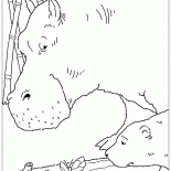Wald Schmetterling