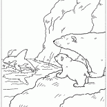 Orca gespeichert Lars