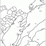 Flusspferd und Bär