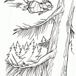 Fliegen Opossum