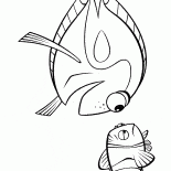 Seefisch
