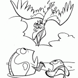 Pelican Jagd