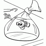 Nemo im Paket