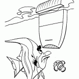 Der Wasserfilter