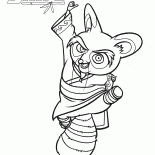 Meister Shifu