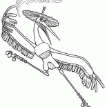 Meister Crane