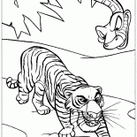 Shere Khan und Kaa