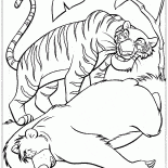 Sly Tiger und Baloo