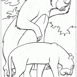 Baloo und Bagheera zu finden