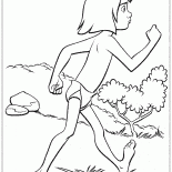 Mowgli reisen sicher