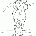 Stallion Geist
