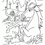Baden Pferd