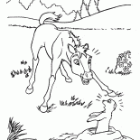 Fohlen und Ziesel