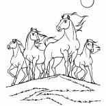 Tribe prairie