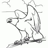 Adler und Geist