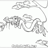 Mushu in den Urlaub