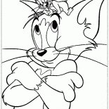 Katze und Maus