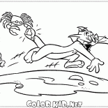 Krabben und Tom