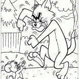 Sparring Tom und Jerry