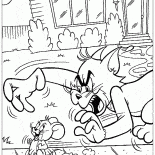 Tom fängt Jerry