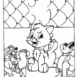 Kitten in Schwierigkeiten