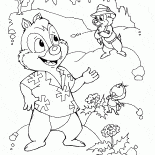 Chip und Chap im Wald
