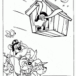 Fliegen Hundehütte