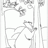 Eichhörnchen Kiefern