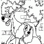Susi und Strolch einen Spaziergang