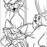 Katzen in der Lady Haus