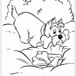 Ein Cache von Knochen