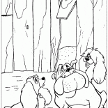 Streunende Hunde