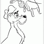 Halsband für den Tramp