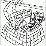 Katzen im Korb