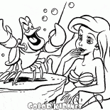 Sebastian und The Little Mermaid