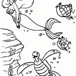 Ariel und Turtle
