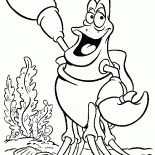 Sebastian die Krabbe