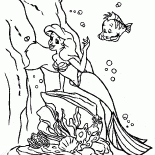 Die kleine Meerjungfrau und Flunder