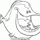 Musical Fisch
