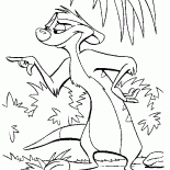 Tutor-meerkat