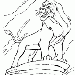 Simba auf dem Felsen