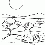 Simba und die Sonne
