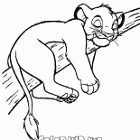 Simba auf dem Baum